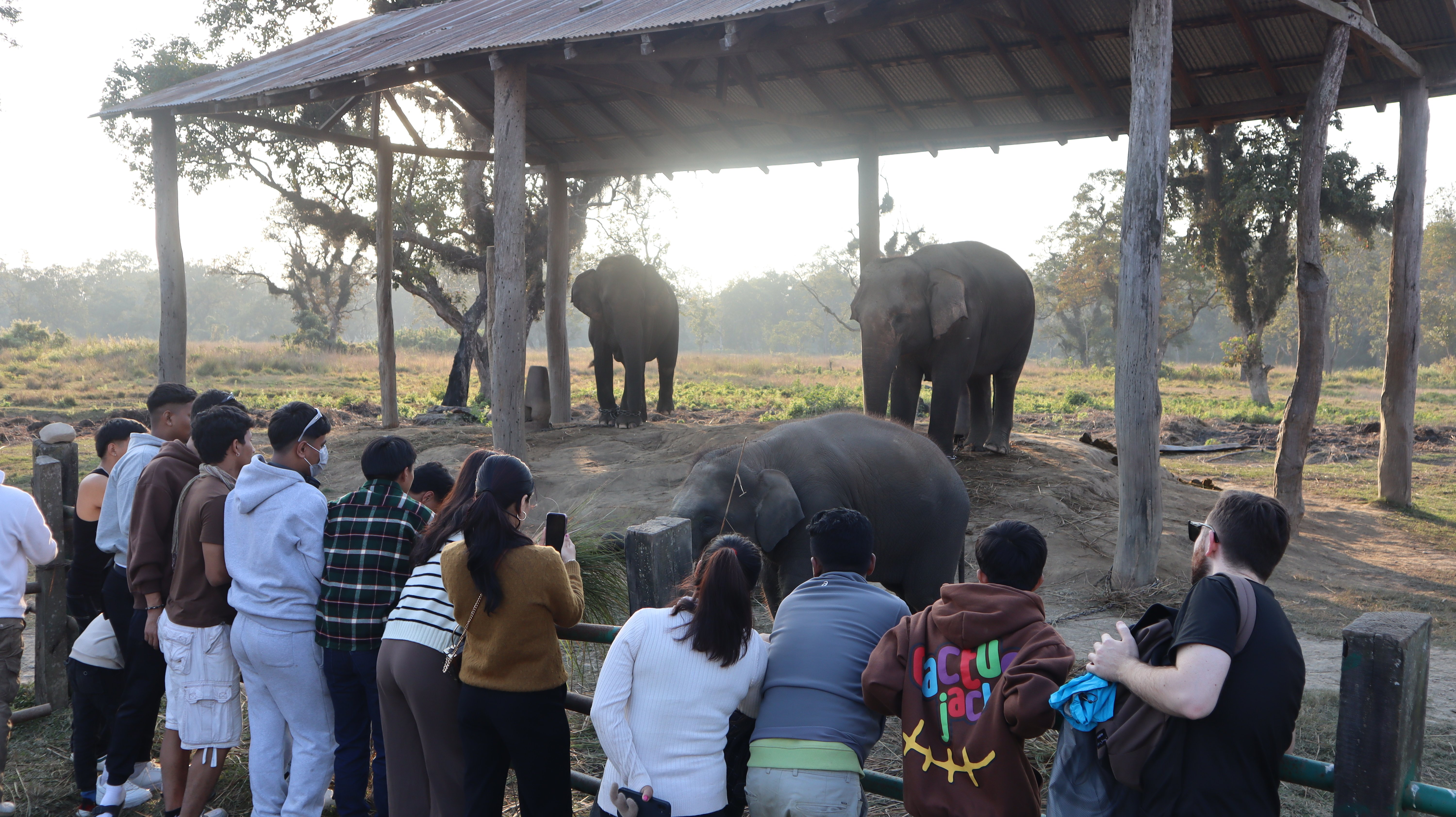 elephant chitwan (8).jpg